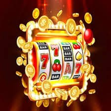 223bet